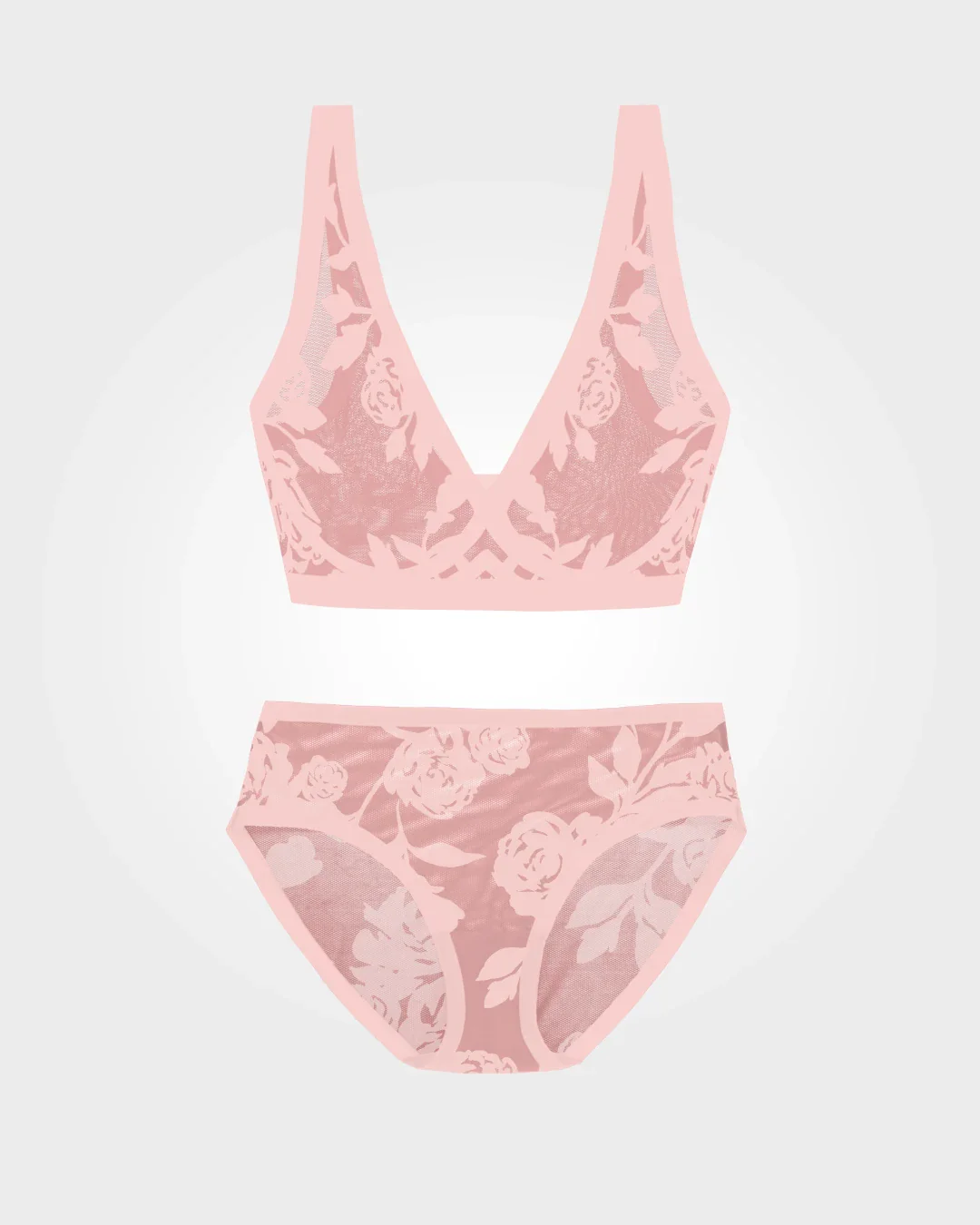 Madam Bisou Sheer Bralette and Brief Set