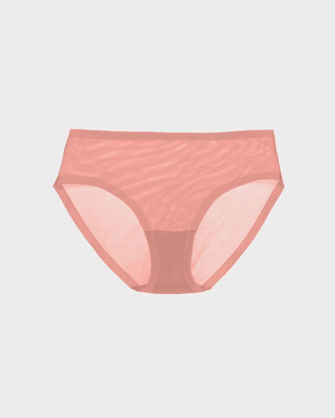 Dusty Rose Sheer Brief