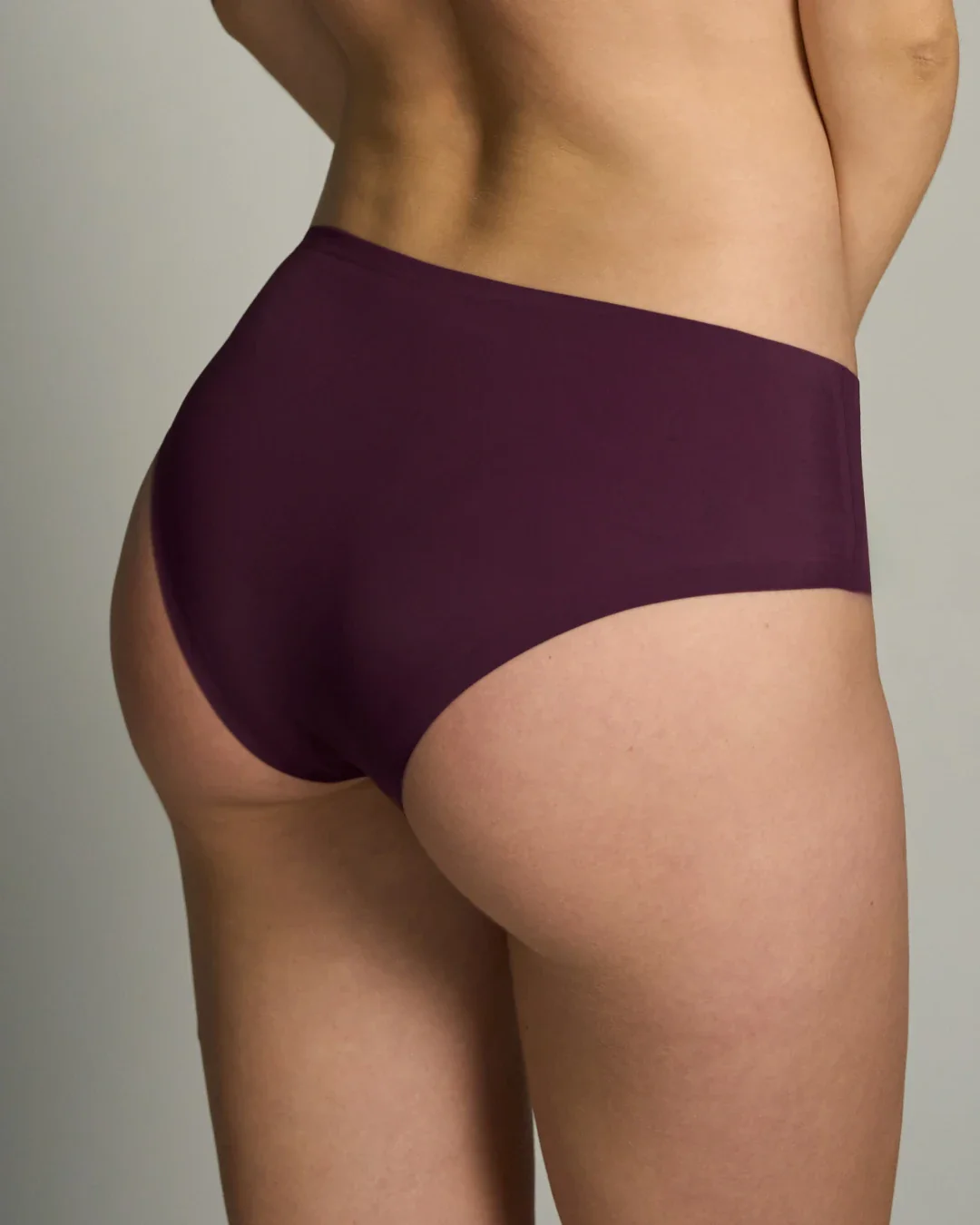 Merlot Brief v2