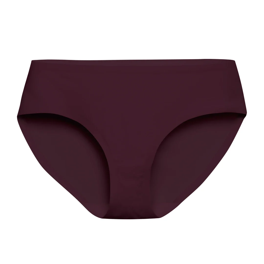 Merlot Brief v2